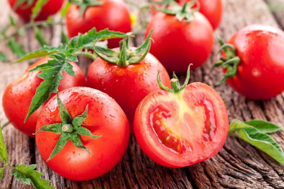 como-plantar-tomate