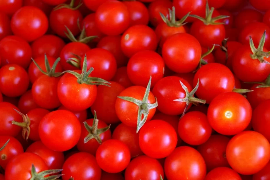 como-cultivar-tomate-cereja