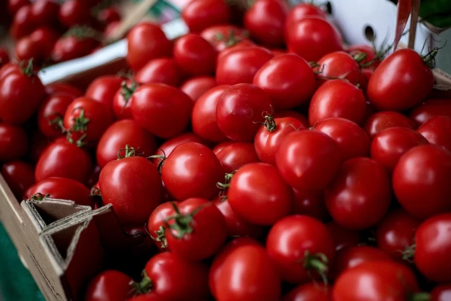 tomate-cereja